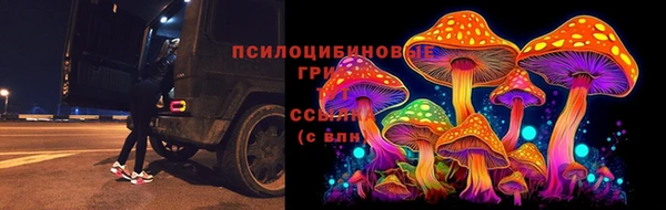 МДПВ Абдулино